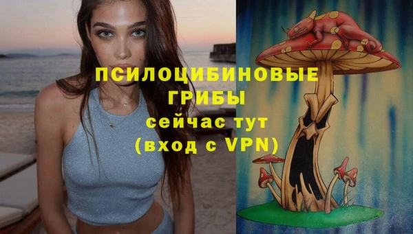 альфа пвп Каменск-Шахтинский