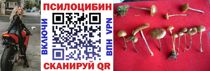 Псилоцибиновые грибы MAGIC MUSHROOMS Купить где Стрежевой